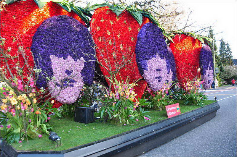  Bloemencorso -     (26 )  